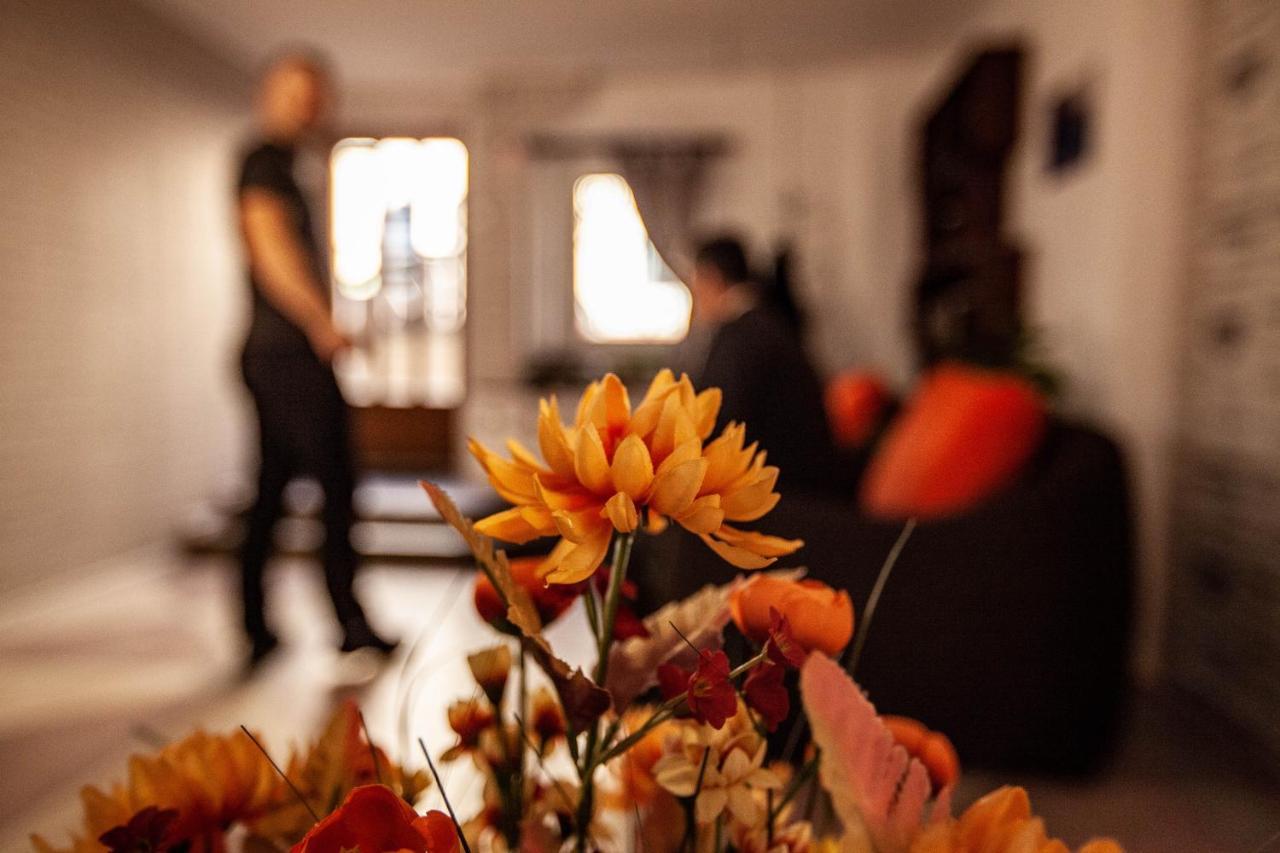 Eminem Central Guesthouse Oradea Extérieur photo
